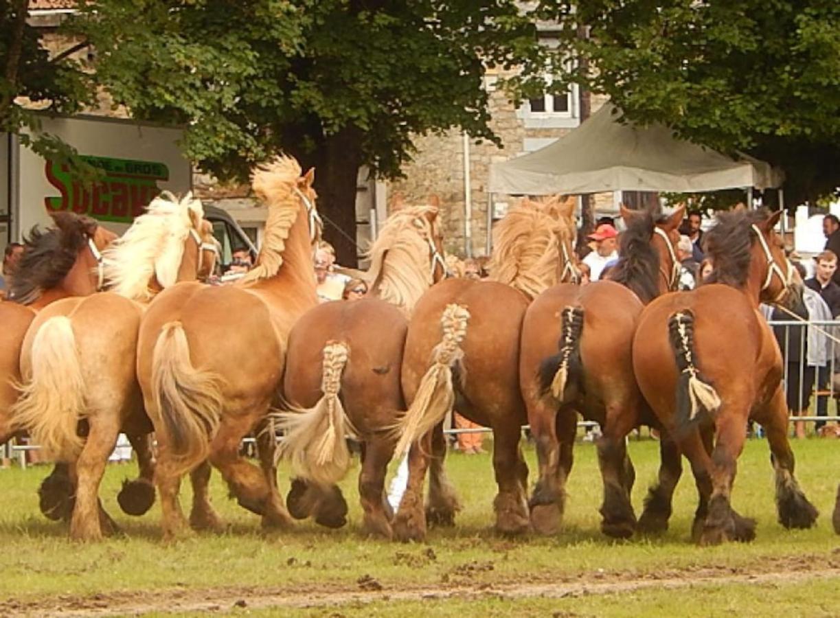 La chouette au bouleau Villa Hargnies Eksteriør billede